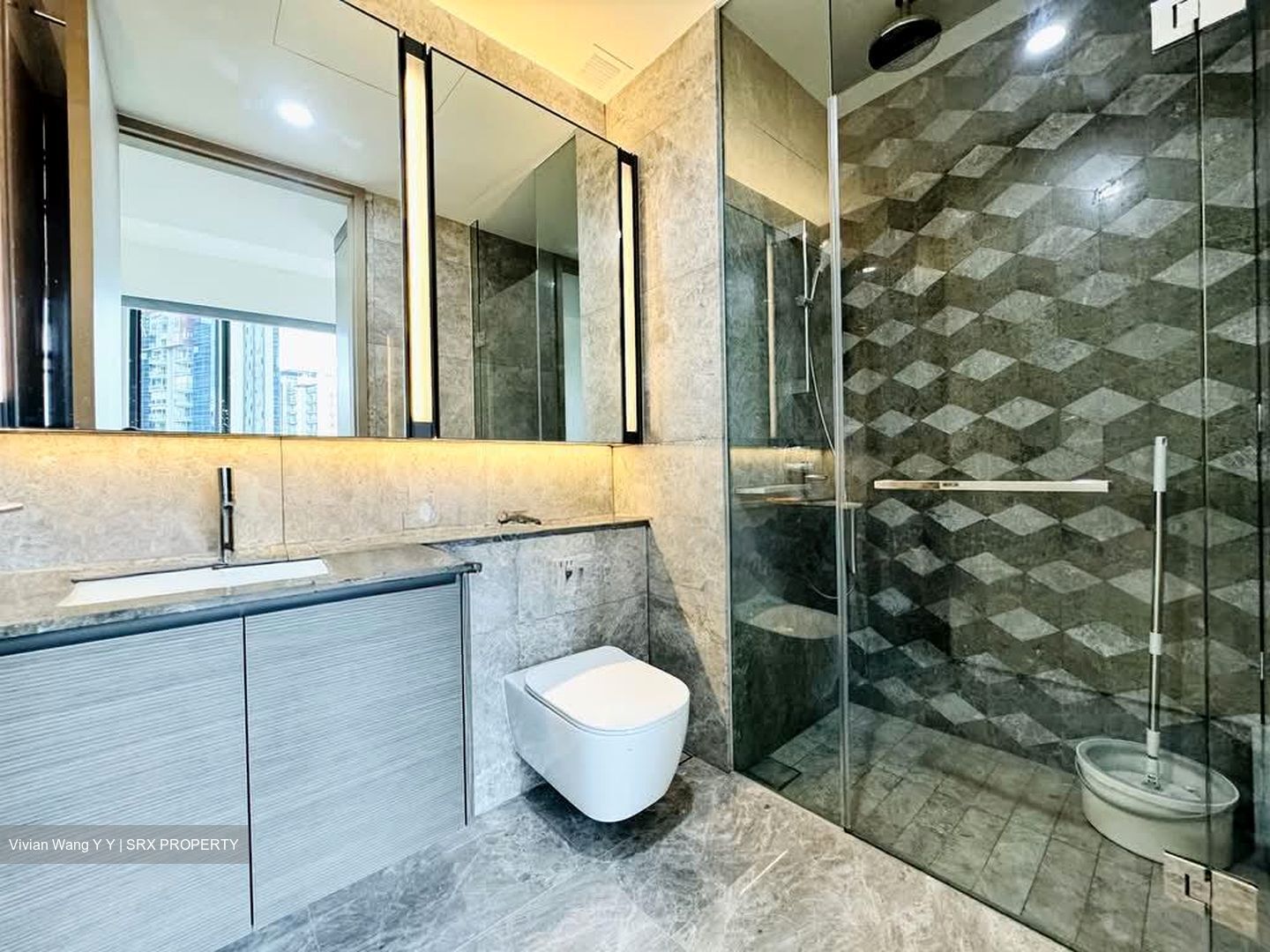 Leedon Green (D10), Condominium #560352201